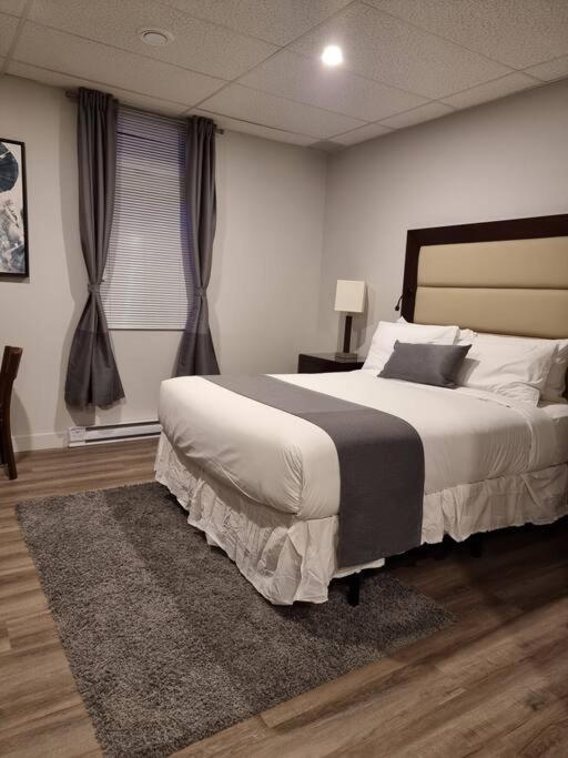 Cozy Sweet Studio #9. Ten Min To D.T Ottawa กาติโน ภายนอก รูปภาพ